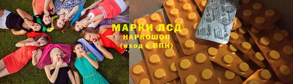 твердый Грязовец