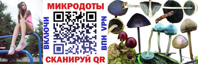 Галлюциногенные грибы Magic Shrooms  Свободный 